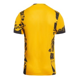 Nogometni Dres Inter Milan Treći 2024-25
